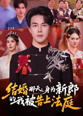 结婚那天，身为新郎的我被告上法庭(全集)