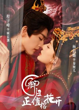 卿归正值榕花开(全集)