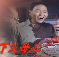 天下父母心(全集)