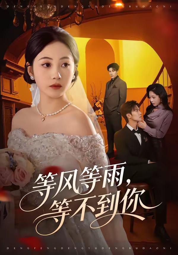 等风等雨，等不到你(全集)